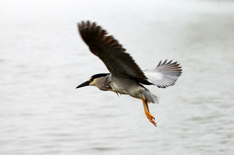 IMG_6119_鐪嬪浘.jpg